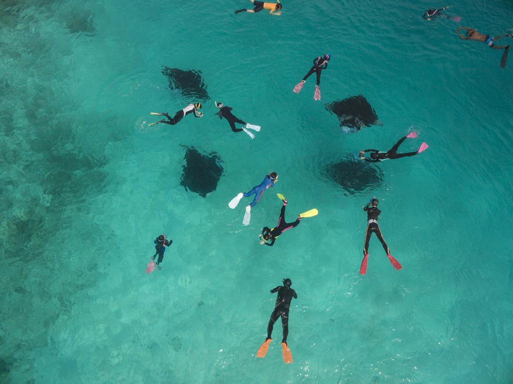Royal Island Resort Maldives Dharavandhoo Esterno foto Divers at the Great Barrier Reef