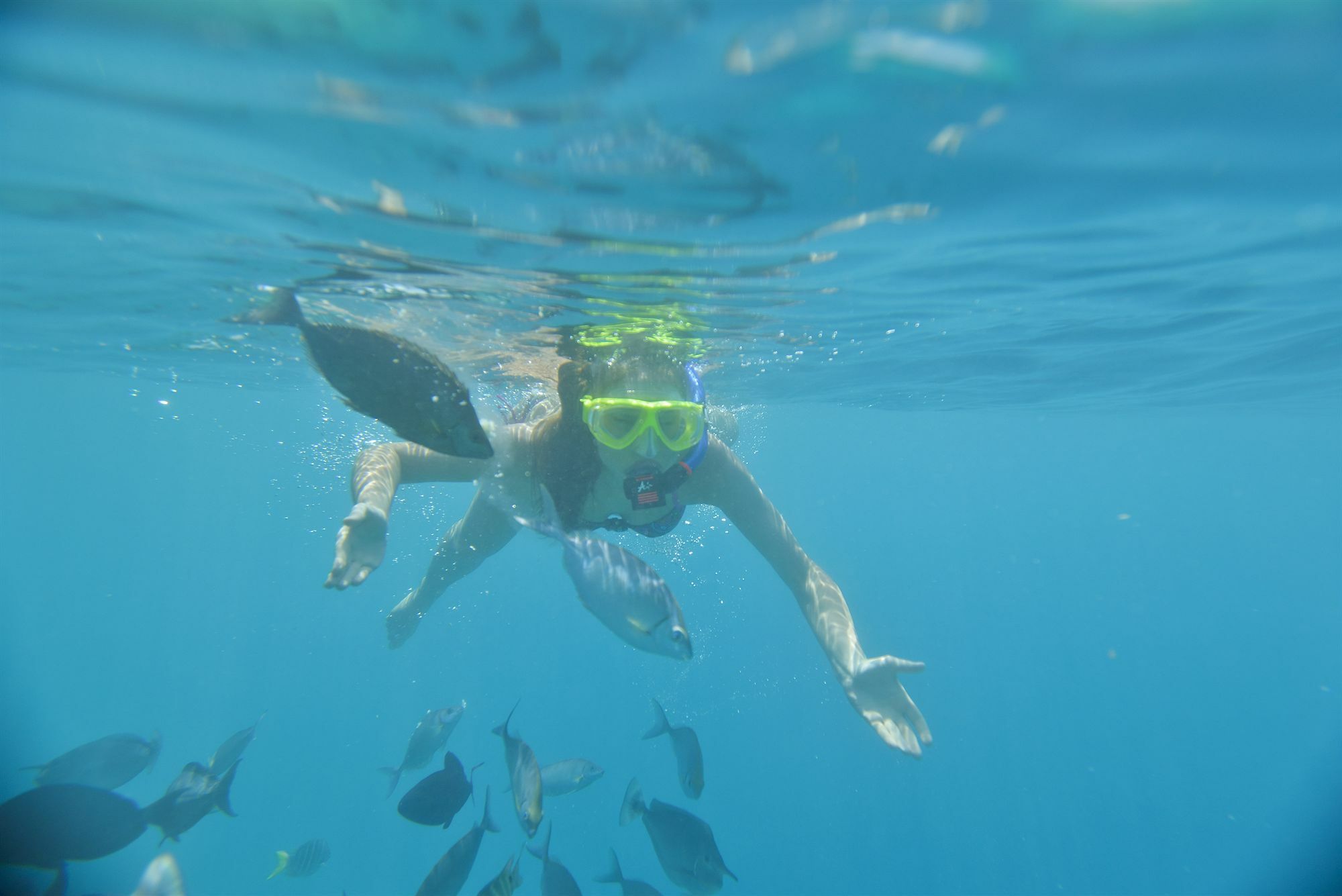 Royal Island Resort Maldives Dharavandhoo Esterno foto Snorkeling in the Red Sea