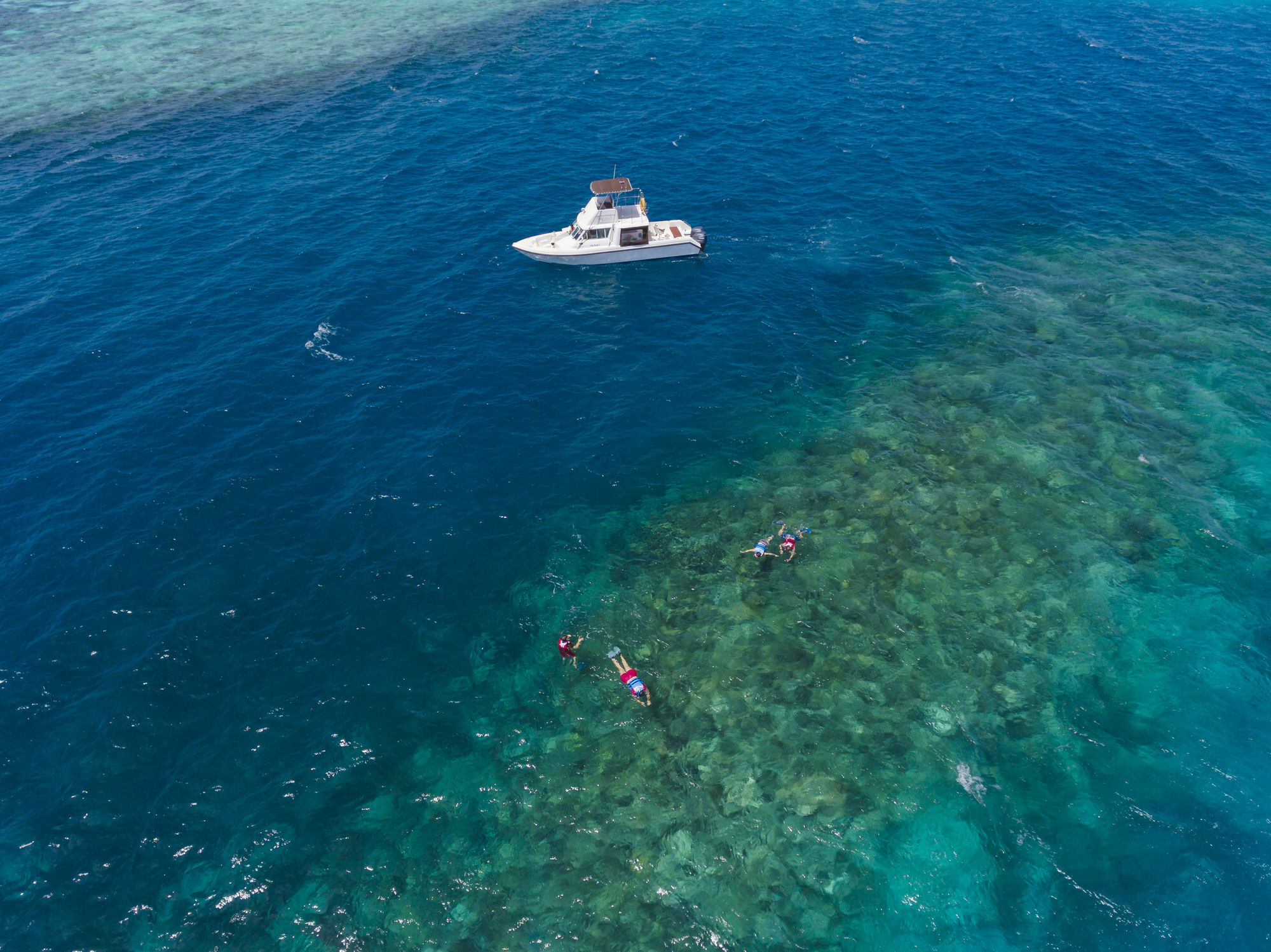Royal Island Resort Maldives Dharavandhoo Esterno foto Snorkeling in the Red Sea